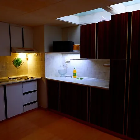 Apartment Turgenevova - Olomoucka A Parkovani