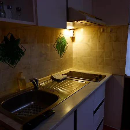 Apartament Turgenevova - Olomoucka A Parkovani *