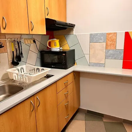 Apartament Turgenevova - Olomoucka A Parkovani