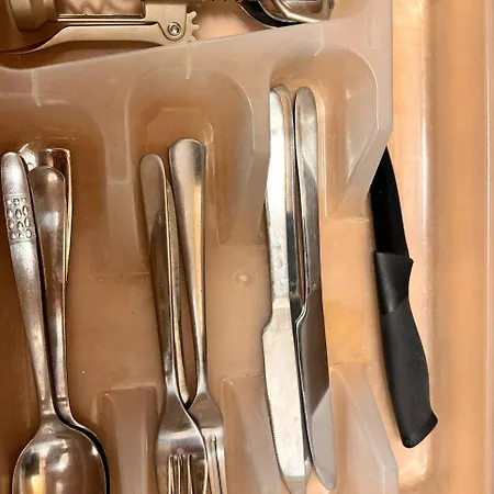 Apartament Turgenevova - Olomoucka A Parkovani *