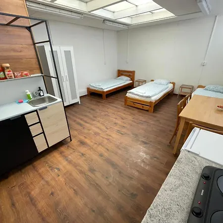 Apartament Turgenevova - Olomoucka A Parkovani