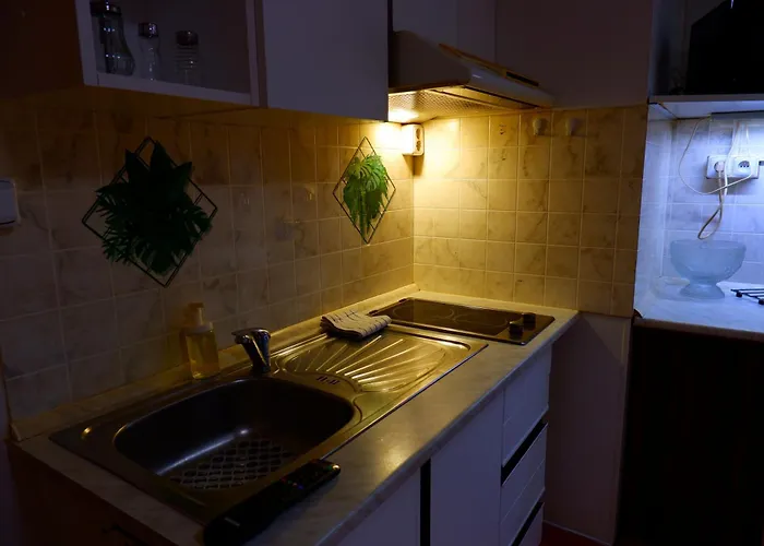 Lägenhet Turgenevova - Olomoucka A Parkovani *